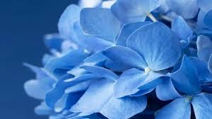 imagen 10